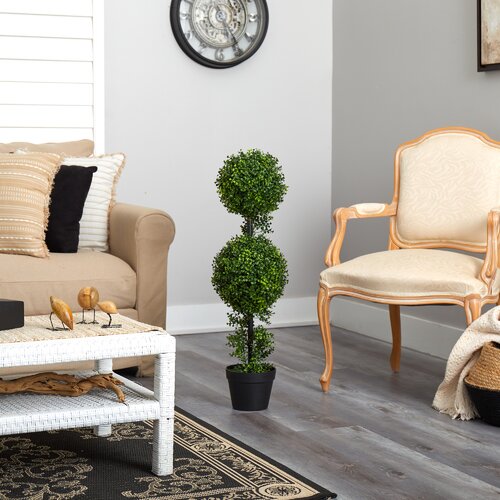 Wayfair | Boxwood Plants, Trees & Topiary